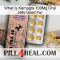 What Is Kamagra 100Mg Oral Jelly Used For 41